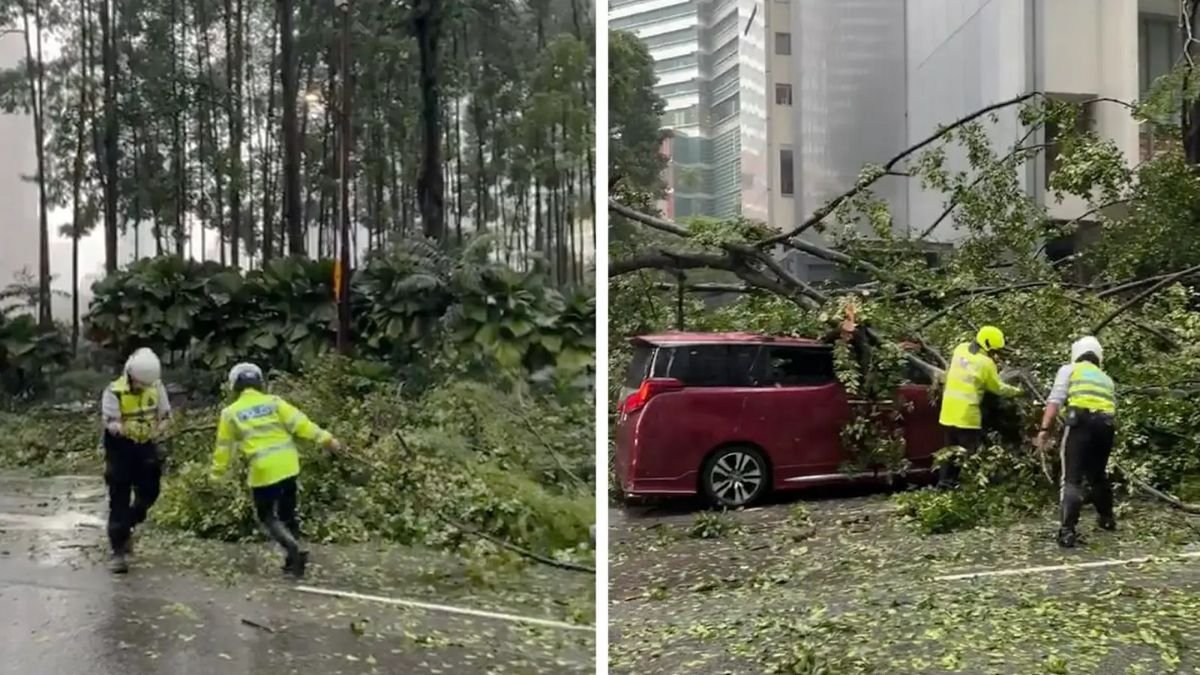 Tree nearly hit Melaka chief minister Ab Rauf Yusoh's vehicle, say police