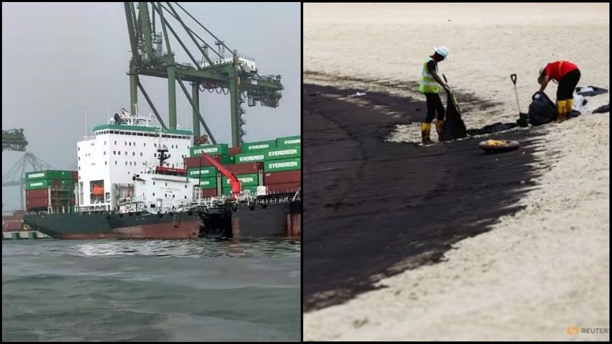 Oil Spill Tragedy: Dredger Engine Failure Results In Ship Collision